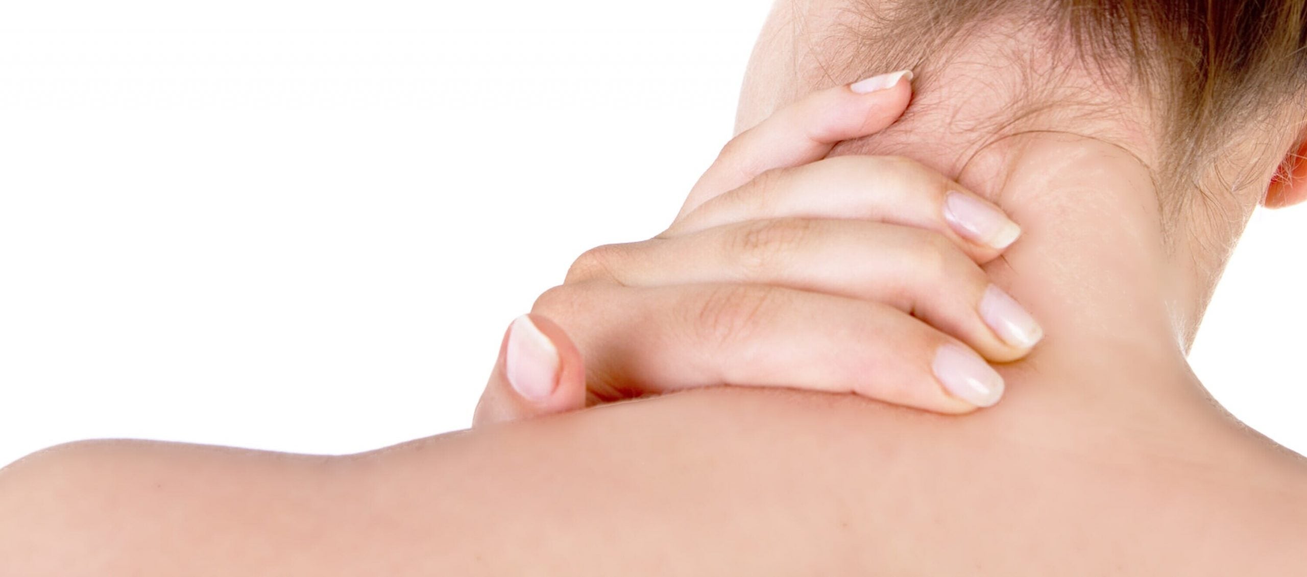 muscoli-articolazioni